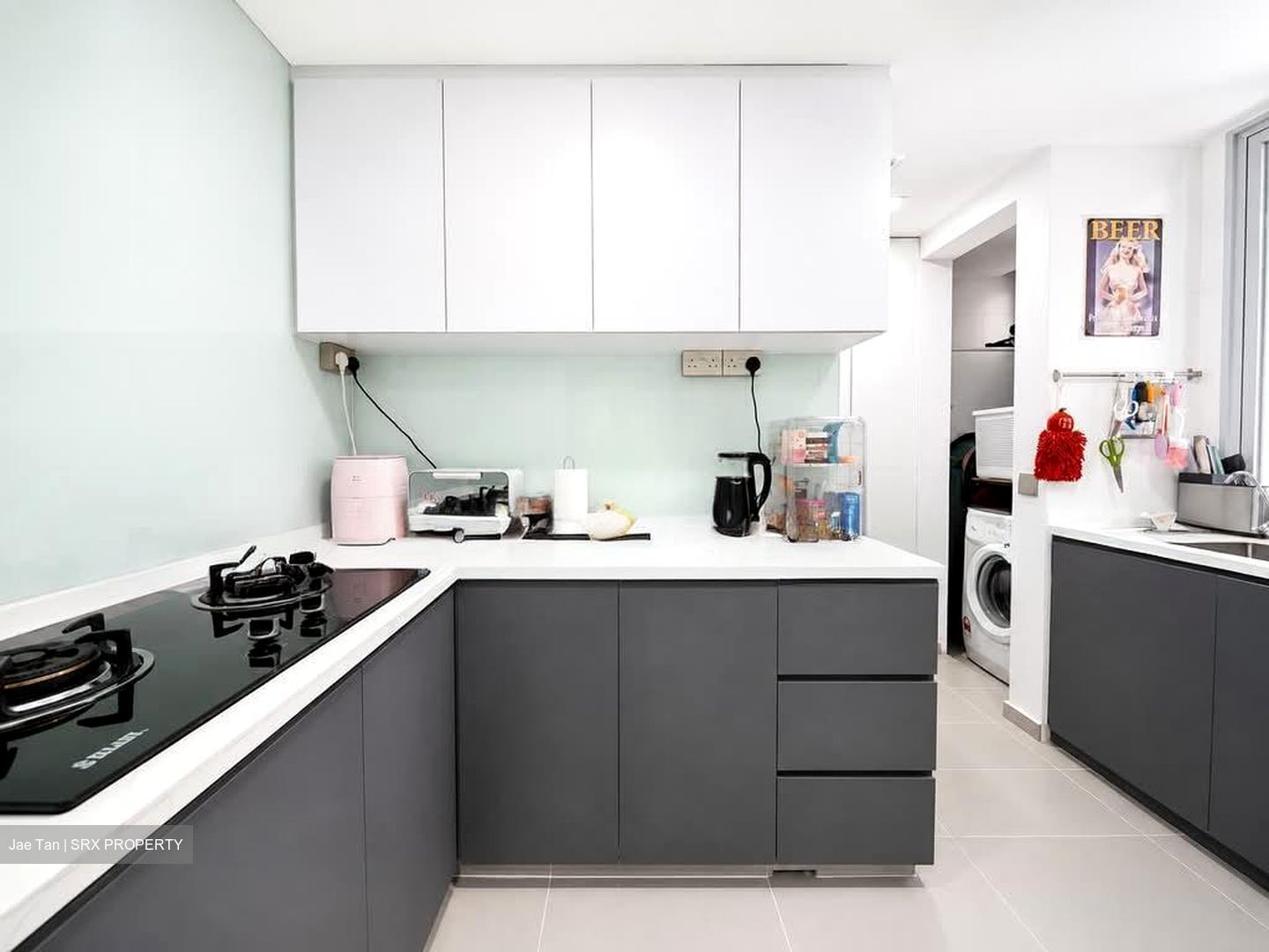 Ecopolitan (D19), Condominium #598276731